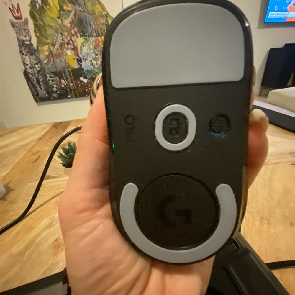 G PRO WIRELESS MOUSE